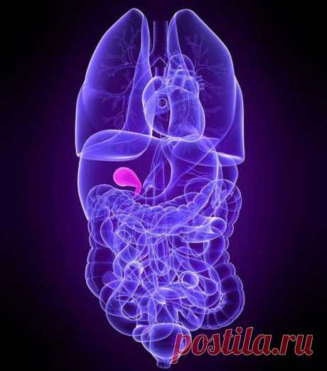 Застой желчи: как его избежать и как лечить |