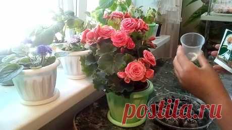 VID_20180906_091324.mp4