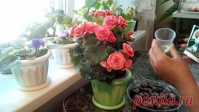 VID_20180906_091324.mp4