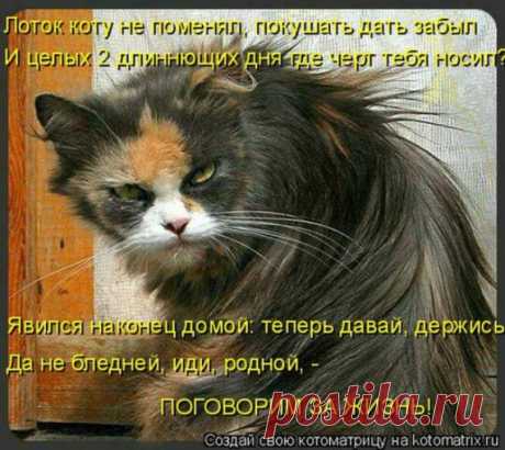 Мысли вслух