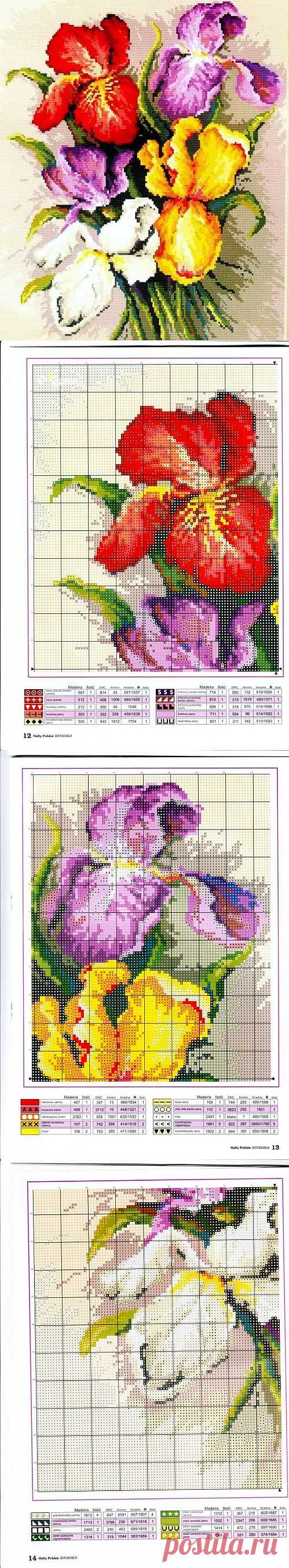 Free irises embroidery designs. Patterns of embroidery | Laboratory household
