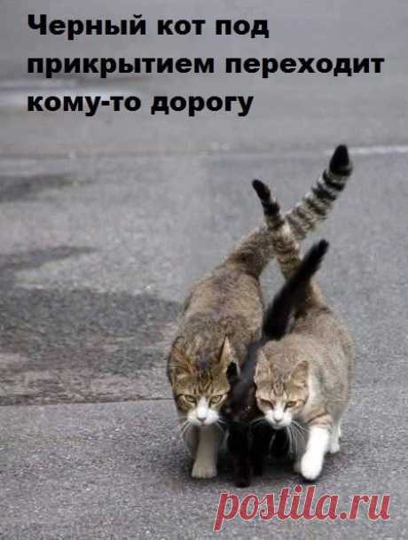 Подборка фото-приколов и картинок (31 шт) . Тут забавно !!!