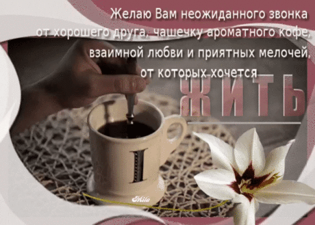 Дружите, знакомьтесь, говорите друзьям добрые слова, в жизни не хватает добра, несите его людям.