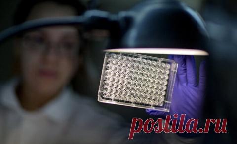 Это необходимо знать — профилактика образования тромбов