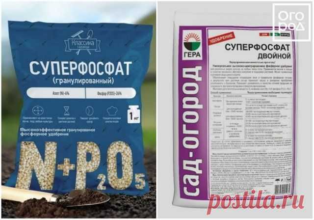 Какие бывают фосфорные удобрения – виды, названия, особенности применения | Удобрения и стимуляторы (Огород.ru)
