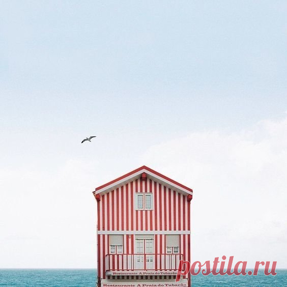 Что будет, если вы живете не по месту прописки? | ПРАВОРУБ | Яндекс Дзен