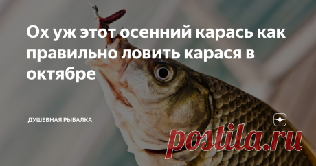 Ох уж этот осенний карась как правильно ловить карася в октябре Поймать карася в октябрьские дни довольно сложно. А связано это с тем, что рыба в этот период не отличается активностью и практически не выходит на поиск пищи. Так же в октябре становится очень низкой пищевая база карася по сравнению с летними месяцами. Но, если подойти к рыбалке правильно, то можно все равно вернуться домой с богатым