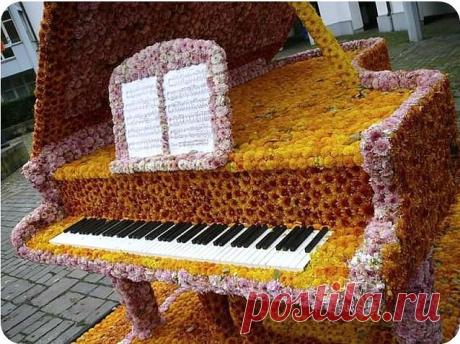 (20) Одноклассники