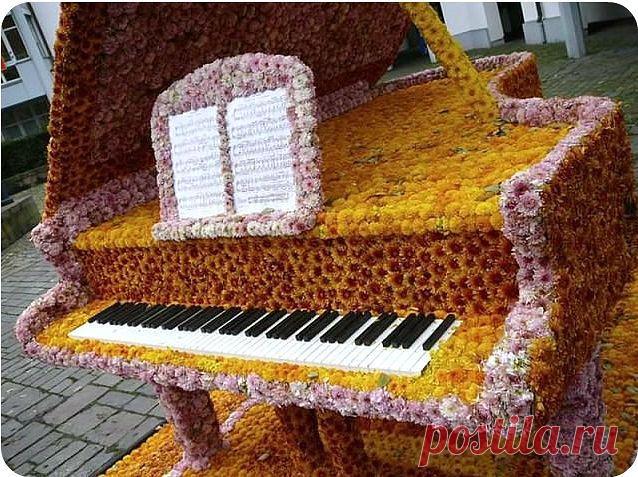 (20) Одноклассники