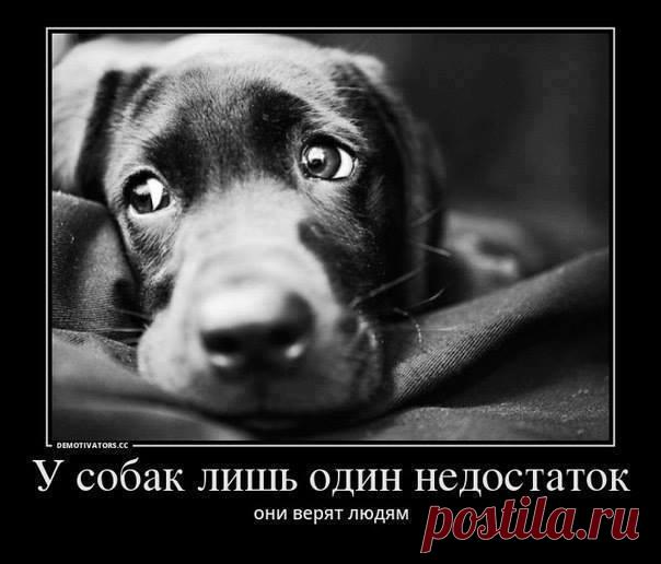 Статусы о Любви и Жизни