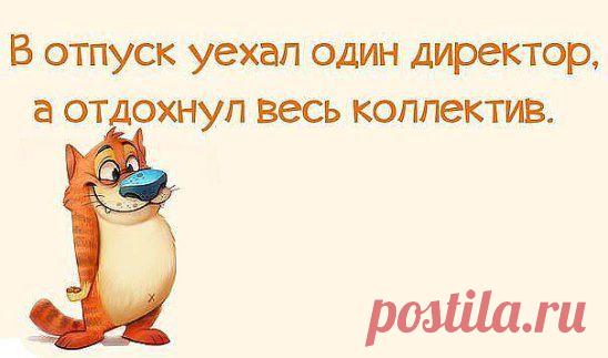 Отдохнул весь коллектив.