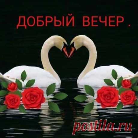 (56) Зина Таирова