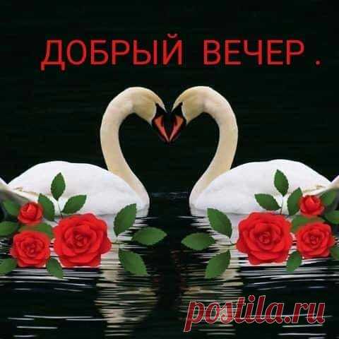 (56) Зина Таирова