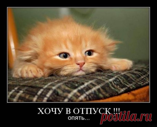 ЛЕТО. ЦИТАТЫ, СТАТУСЫ, ВЫСКАЗЫВАНИЯ ПРО ЛЕТО, ОТДЫХ, ОТПУСК. ЮМОР. - СЧАСТЬЕ ЕСТЬ! Психология. Философия. Мудрость. Книги.