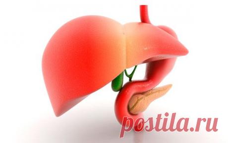 Растения и препараты для лечения печени | Народная медицина