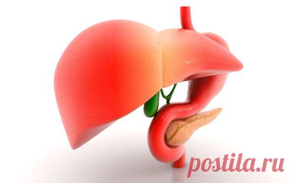 Растения и препараты для лечения печени | Народная медицина