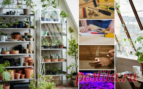 Стеллаж для рассады: зачем нужен и как сделать своими руками 


Надоело каждый год убирать с подоконников комнатные цветы и "украшать" окна ящиками с рассадой? Огорчаетесь, когда в очередной раз кто-то задевает рассаду шторой и ломает молодое растение? Тогда ст…