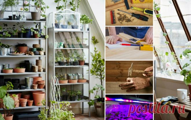 Стеллаж для рассады: зачем нужен и как сделать своими руками 


Надоело каждый год убирать с подоконников комнатные цветы и 
