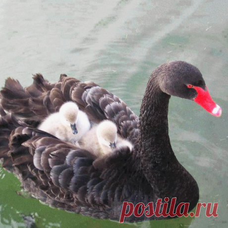 всё о природе...