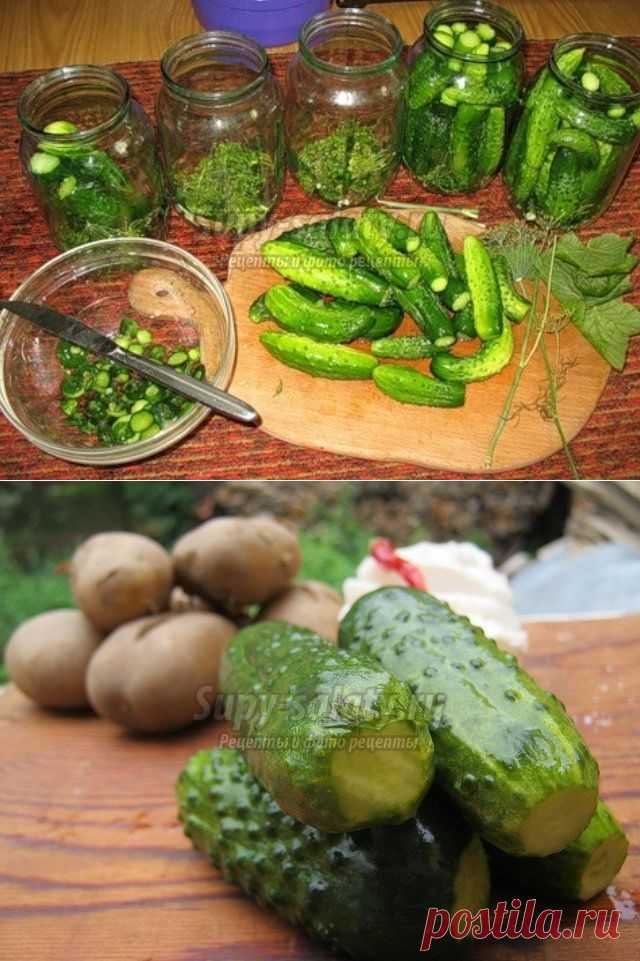Огурцы на зиму - рецепты