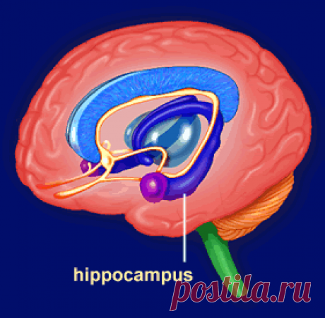 1 непрочитанный чат