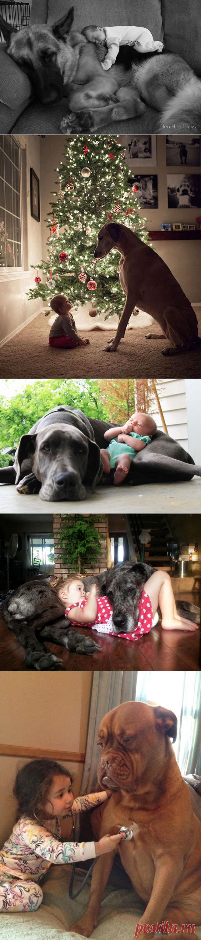 Дети и их четвероногие няньки – Фитнес для мозга