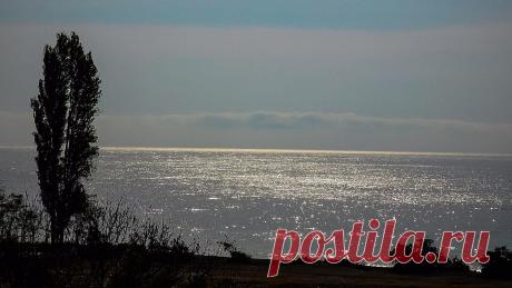 (50) Одноклассники