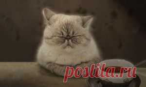 Надежда на дом — Реклама дня, 22 июля 2014