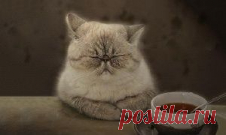 Надежда на дом — Реклама дня, 22 июля 2014