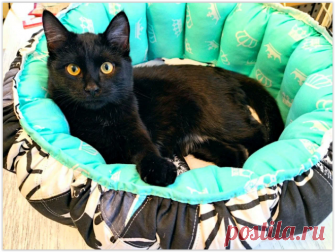 Сшила лежанку для кота 