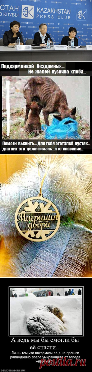 Ирина Малий
