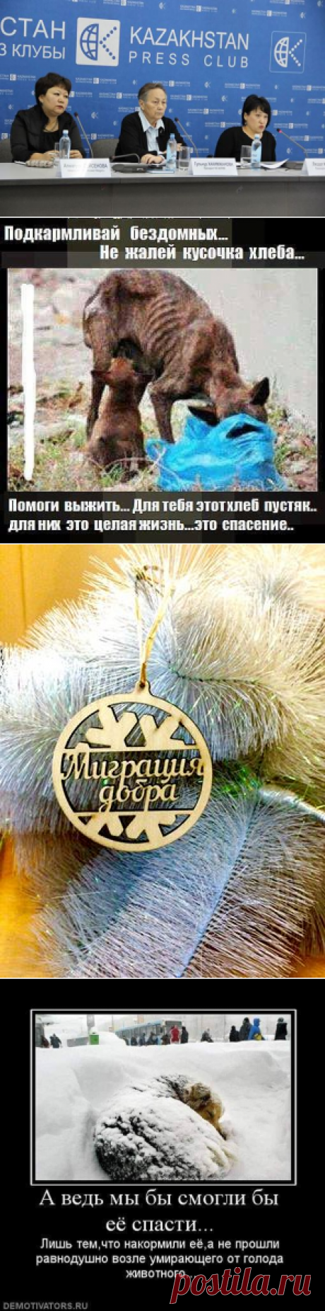 Ирина Малий