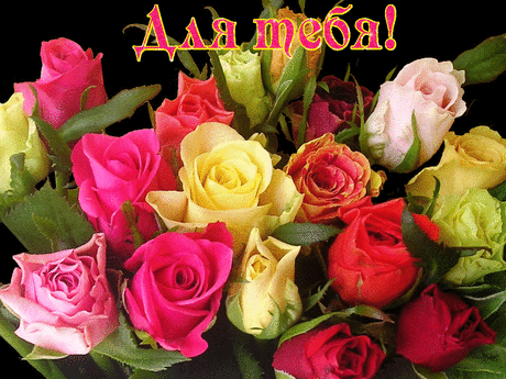 0_142fff_916761b9_orig.gif (1024×768)