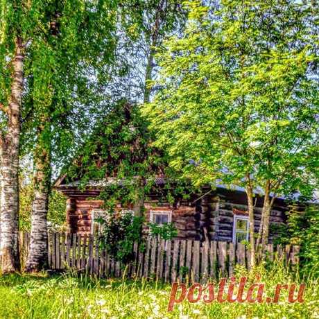 Привет июль, мой друг сердечный!

#деревня#июль#домик#березки#village#глубинка#домиквдеревне🏡#villageinrus#июльуже#макушкалета#r_u_s_s_i_a#домиквдеревне#house#летовдеревне#village_ru#russia_pics#русскаякрасота#rus_photos#мояроссия#russiamylove#деревенскийдомик#russianhouse#po_strane#woodenhouse#photo_russia#loves_russia
