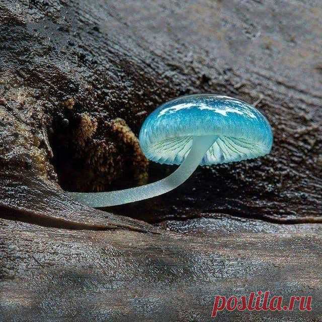 Photo by HANDMADE💯| ИДЕИ | ВДОХНОВЕНИЕ on March 18, 2020.