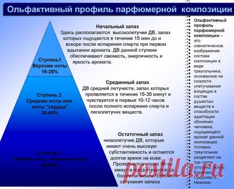 (C) Начинающий парфюмер. Отличительные качества парфюмера. Этапы формирования парфюмерных качеств. Школа Парфюмерного Мастерства. Как улучшить свое парфюмерное обоняние. Как научиться различать парфюмерные ноты. Хочу стать Парфюмером: с чего начать? Развитие навыков парфюмера...