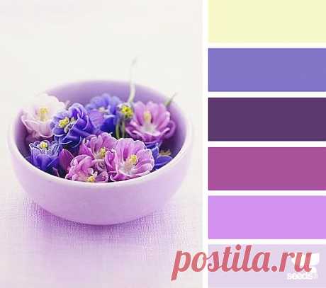 Design Seeds® | find your palette