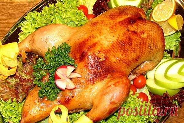 Готовим вкусно! Утка с яблоками в духовке. | Домохозяин | Яндекс Дзен