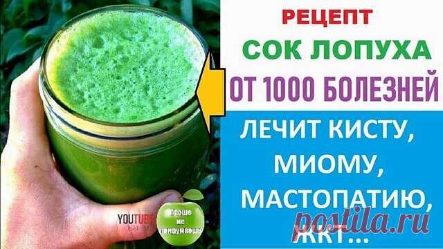 Готовим СОК ЛОПУХА - панацеей от многих недугов. Как и когда заготовить СОК от 1000 БОЛЕЗНЕЙ.