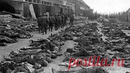 Неизвестный Освенцим: о чем узники лагеря смерти молчали 70 лет