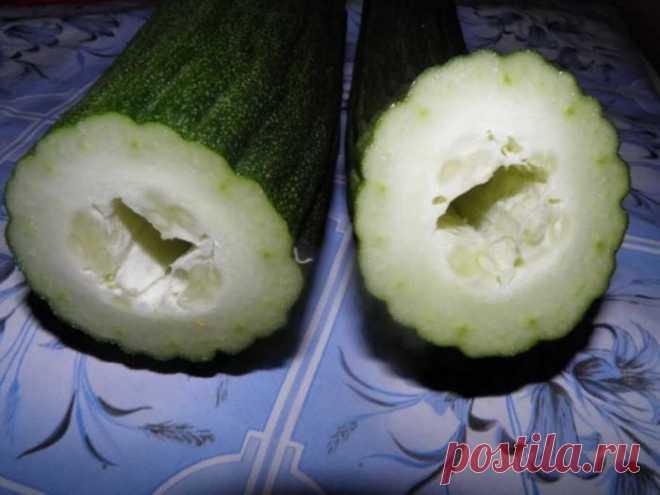 Огурцы внутри пустые - 8 причин, что делать для профилактики | Огородникам Инфо