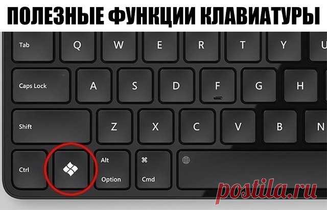 7 непрочитанных чатов