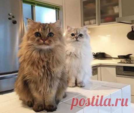 Утро начинается не только с кофе