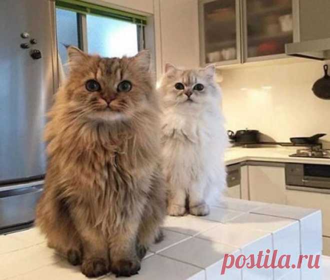 Утро начинается не только с кофе