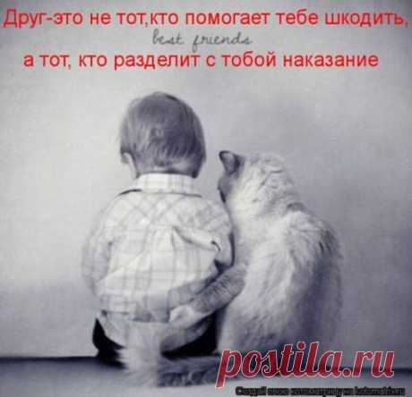 Одноклассники