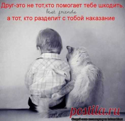 Одноклассники