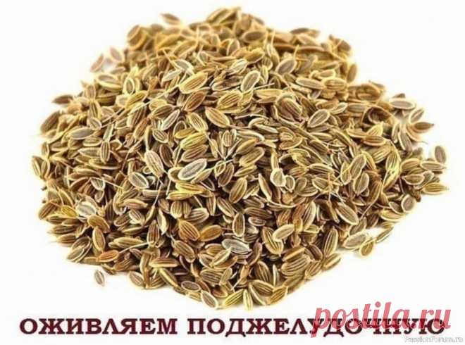 Лечим поджелудочную железу народными средствами