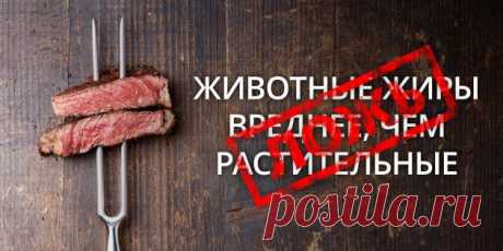 5 самых распространённых страшилок про жиры - Лайфхакер