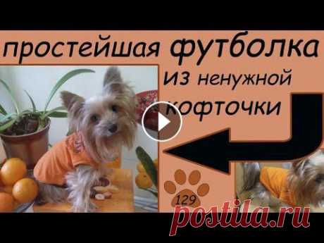 ФУТБОЛКА ДЛЯ СОБАКИ своими руками - из ненужной кофточки. Минимум времени, усилий, затрат. Внимание! Работает непрофессионал))) Поэтому не судите, пожалуйста, строго и возьмите на вооружение только хорошее и правильное из нашего опыта. Итак,...