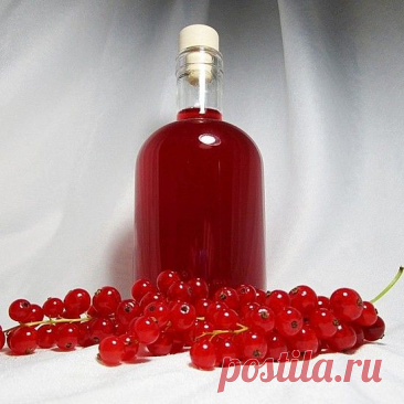 Наливка из красной смородины на водке
450-500 гр. ягод красной смородины
0,5 л водки
150 гр. сахара
Как готовить:
Собранные плоды перебрать, удалив листики и мусор, промыть ягоды в воде.
Уложить сырьё в банку (1 л), добавить сахар и алкоголь.
Плотно закрыть банку и убрать для настаивания на 14 дней. Несколько раз в день тщательно взбалтывать напиток.
Готовую наливку отфильтровать и разлить по подходящим ёмкостям.
Крепость — примерно 21–22 градуса.